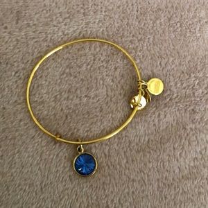 Alex and Ani Birthstone Bracelet